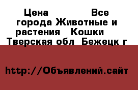 Zolton › Цена ­ 30 000 - Все города Животные и растения » Кошки   . Тверская обл.,Бежецк г.